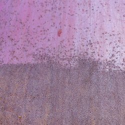 Rust Painted