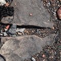 Debris Seaside 030