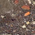 Debris Seaside 032
