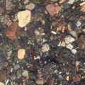 Debris Seaside 028