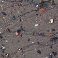 Sea Sand 003