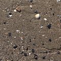 Sea Sand 004