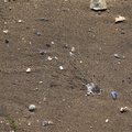 Sea Sand 006