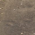 Sea Sand 007