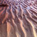 Sea Sand 008