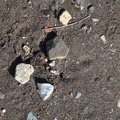 Sea Sand 009