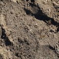Sea Sand 002
