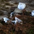 Debris Garbage 014