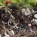 Debris Garbage 002