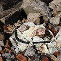 Debris Garbage 004