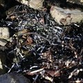 Debris Garbage 005