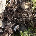 Debris Garbage 006
