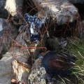 Debris Garbage 007