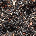 Sea Pebble 038