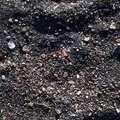 Sea Pebble 041