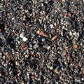 Sea Pebble 035