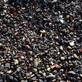 Sea Pebble 036