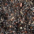 Sea Pebble 037