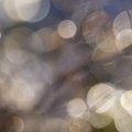 Bokeh 014