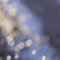 Bokeh 017