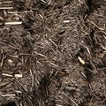 Debris Wood Chips 008