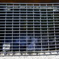 Grate 005