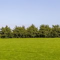 Nature Edge 010