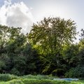 Nature Edge 011