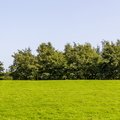 Nature Edge 007