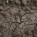 Soil Cracked 015