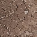 Soil Cracked 018