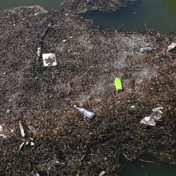 Debris Water