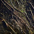 Debris Water 004