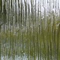 Glass 002