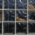 Glass 004