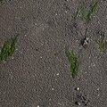 Sea Sand 012