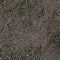Sea Sand 010