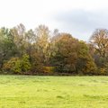Nature Edge 014