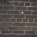 Bricks Damaged 016