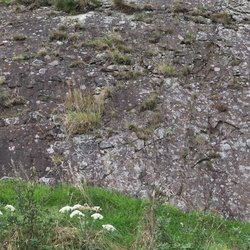 Rock Cliff