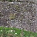 Rock Cliff 004