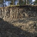 Rock Cliff 001