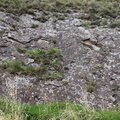 Rock Cliff 003