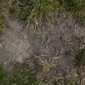 Soil Stoned 024