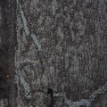 Roof Bitumen 001