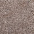Sea Sand 015