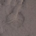 Sea Sand 016