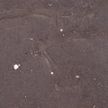 Sea Sand 018