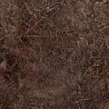 Sea Sand 021
