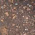 Soil Stoned 029